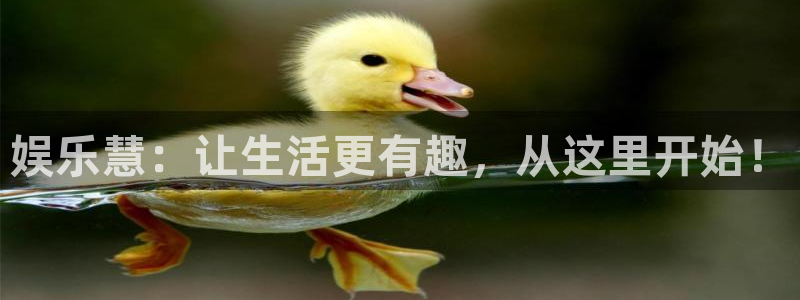 壹号注册入口app下载
