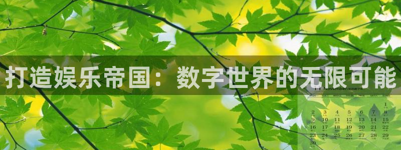 星亿娱乐注册链接入口