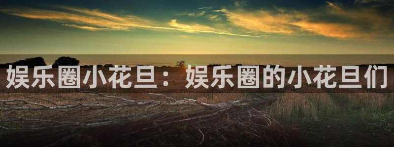 星亿娱乐注册入口