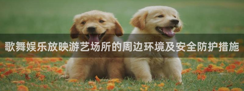 壹号大舞台娱乐app下载安装