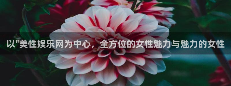 星亿娱乐app下载