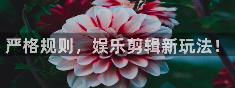 星亿娱乐注册入口