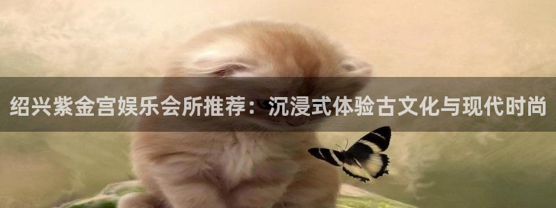 壹号大舞台娱乐app下载安装