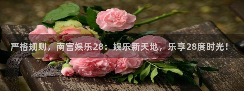 星亿娱乐平台登录