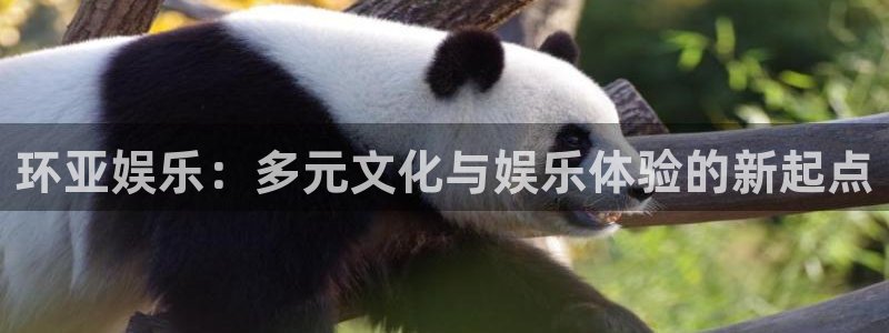 星亿娱乐下载链接