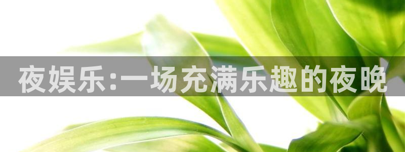 星亿娱乐是什么平台