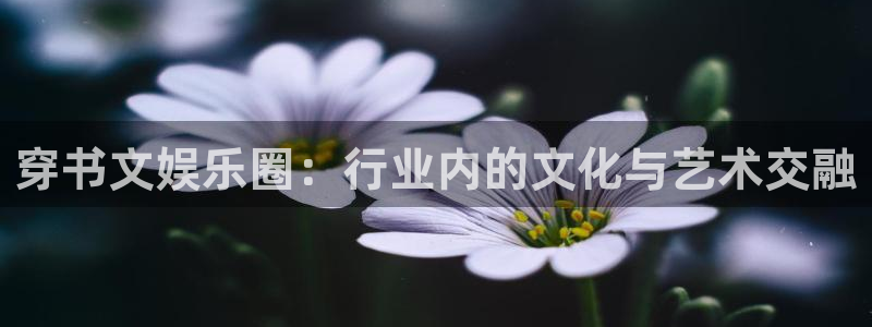 星亿娱乐网站平台