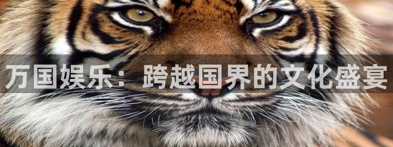 星亿娱乐在线预测