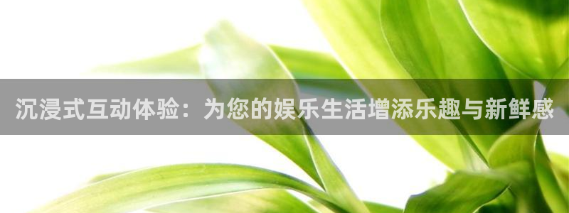 壹号大舞台28国际大舞台