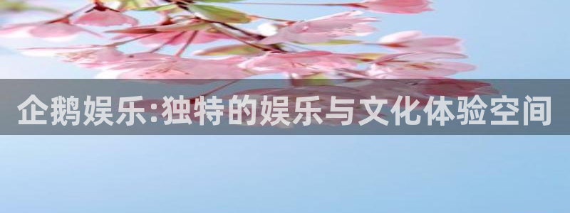 星亿娱乐手机版下载：企鹅娱乐:独特的娱乐与文化体验空间