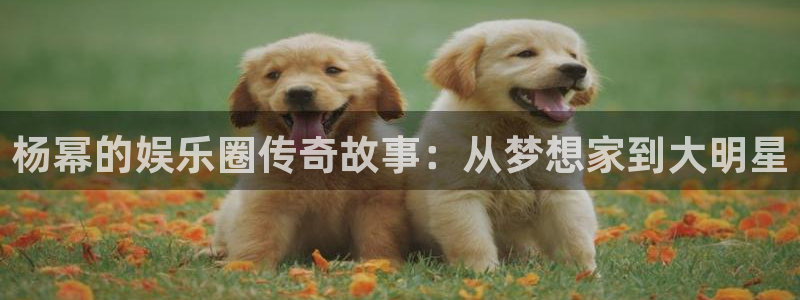 星亿娱乐.com