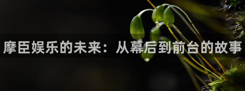 星亿娱乐app 是什么