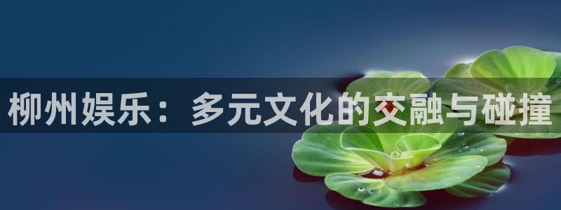 电子游戏星亿娱乐