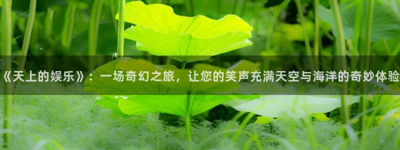 星亿娱乐app 是什么