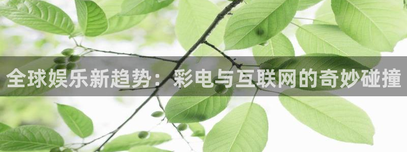 星亿娱乐平台下载入口