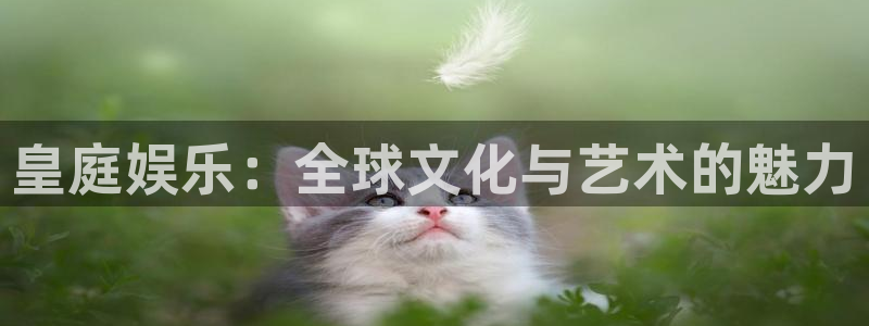 壹号app官网：皇庭娱乐：全球文化与艺术的魅力