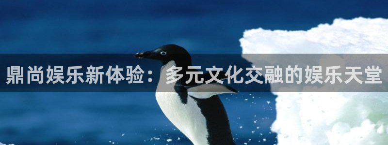 星亿娱乐app下载：鼎尚娱乐新体验：多元文化交融的娱乐天堂
