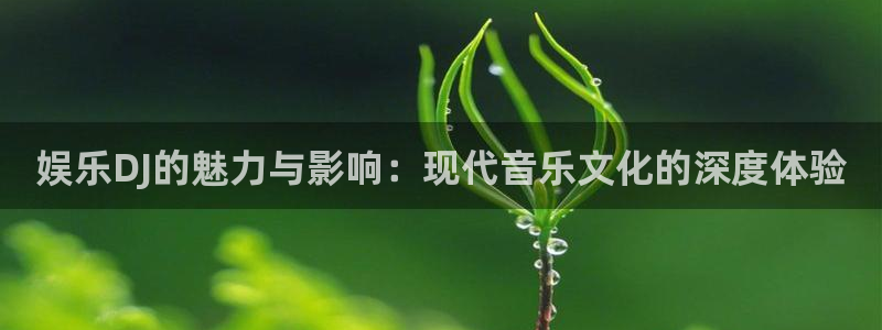 星亿娱乐.com：娱乐DJ的魅力与影响：现代音乐文化的深度体验