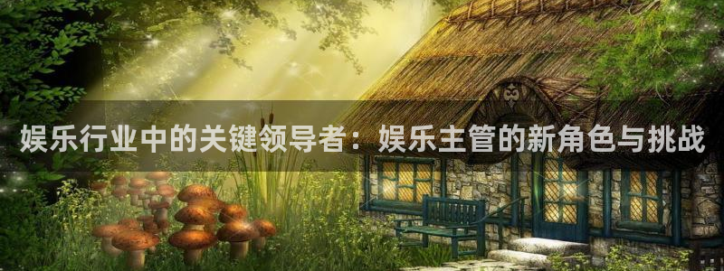 星亿娱乐电玩网官网入口：娱乐行业中的关键领导者：娱乐主管的新角色与挑战