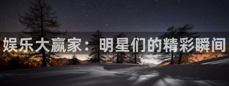 星亿娱乐怎么下载：娱乐大赢家：明星们的精彩瞬间