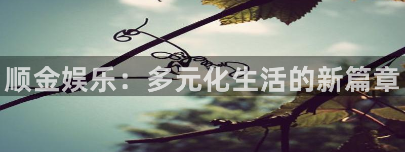 星亿娱乐手机版下载：顺金娱乐：多元化生活的新篇章