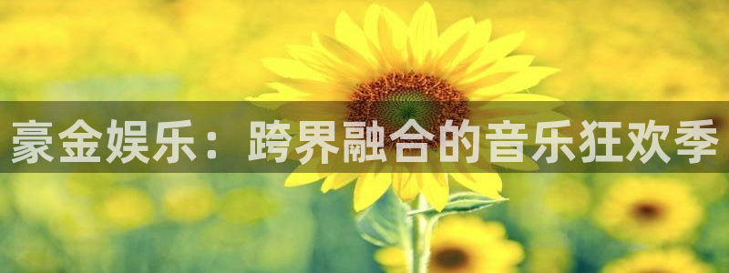 星亿娱乐下载链接：豪金娱乐：跨界融合的音乐狂欢季